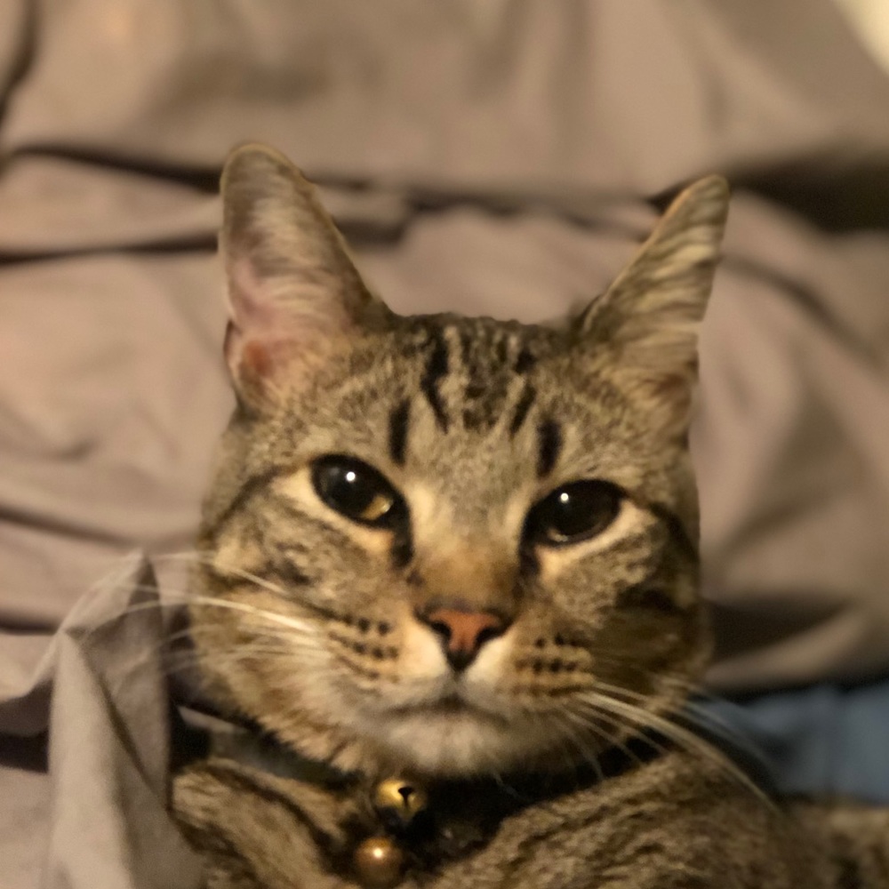 Meet your Posher, Elijah